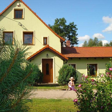 Agroturystyka Tam Gdzie Sosny Ścinawka Dolna Exterior foto