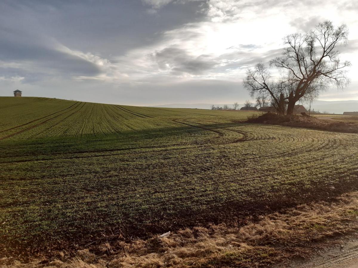 Agroturystyka Tam Gdzie Sosny Ścinawka Dolna Exterior foto
